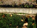 image of grave number 724020
